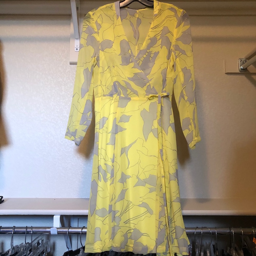 Striking Zara Dress